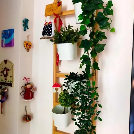 A Casa Di Carola. In Centro Dove Sentirsi A Casa * モルフェッタ